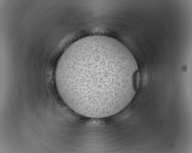 X0000113020619200909171455