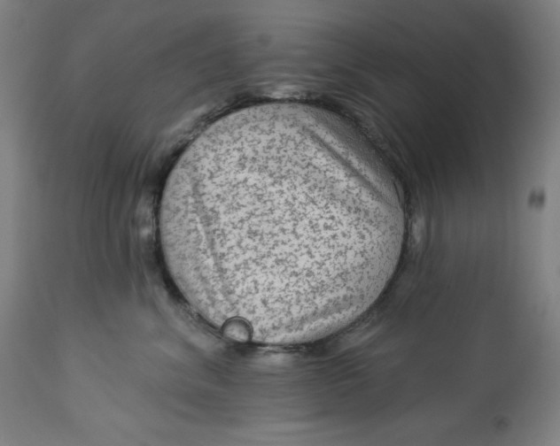 X0000113020620200909171455