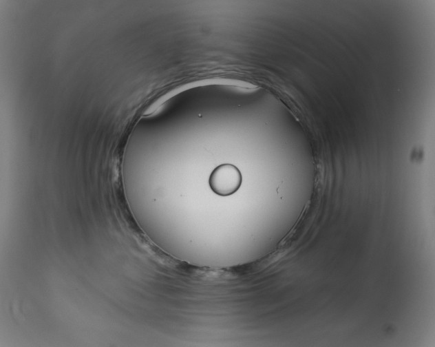 X0000113020621200909171455