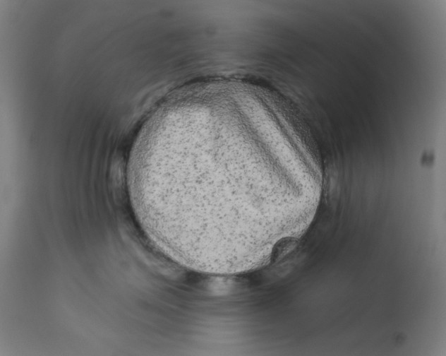 X0000113020623200909171455