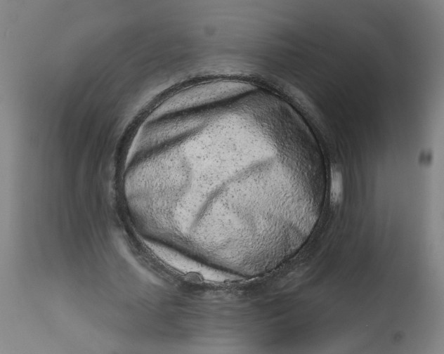 X0000113020627200909171455