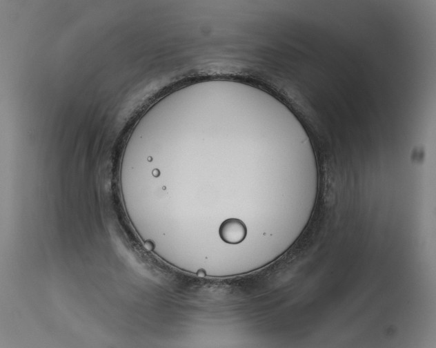 X0000113020631200909171455