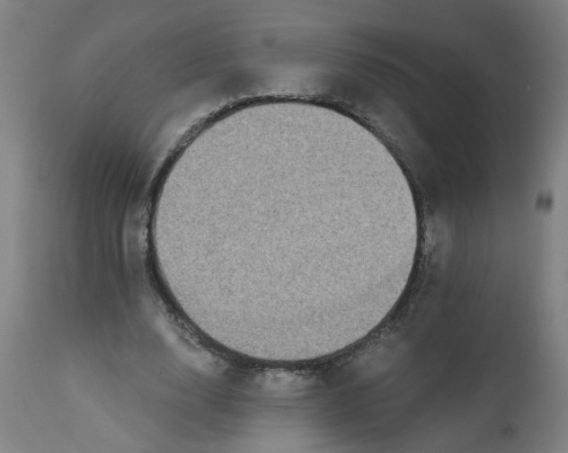 X0000113020632200909171455