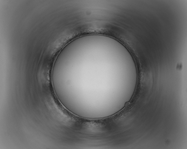 X0000113020633200909171455