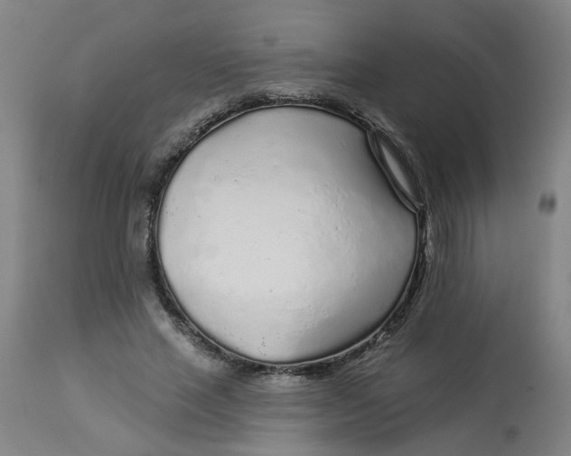 X0000113020637200909171455