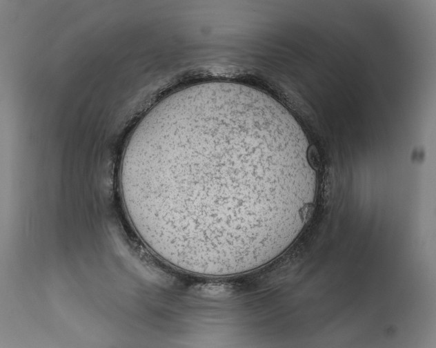 X0000113020639200909171455