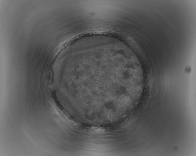 X0000113020640200909171455