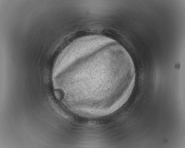 X0000113020641200909171455