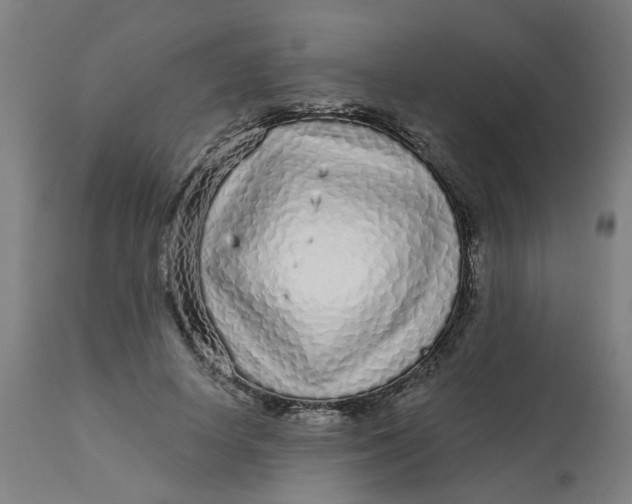 X0000113020642200909171455