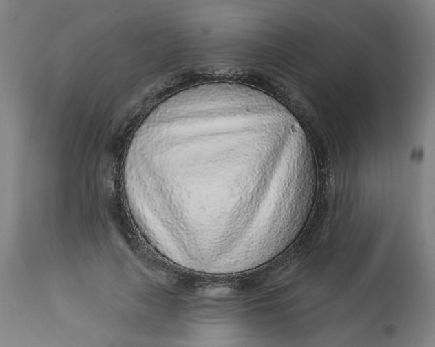 X0000113020643200909171455