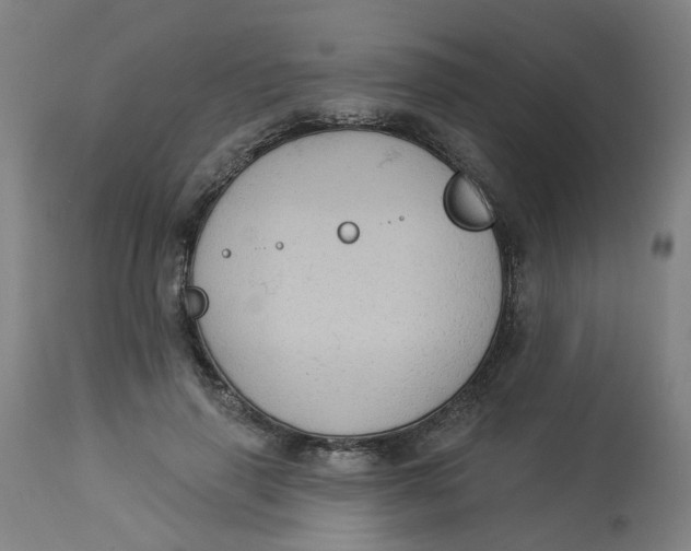 X0000113020645200909171455