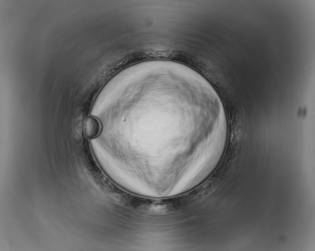 X0000113020647200909171455