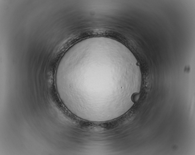 X0000113020648200909171455