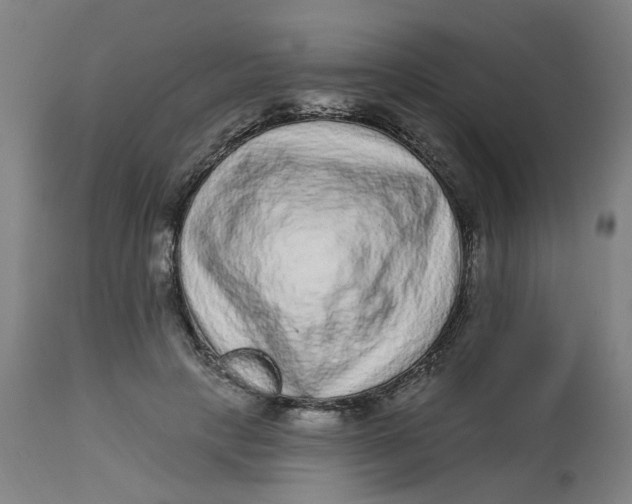 X0000113020649200909171455