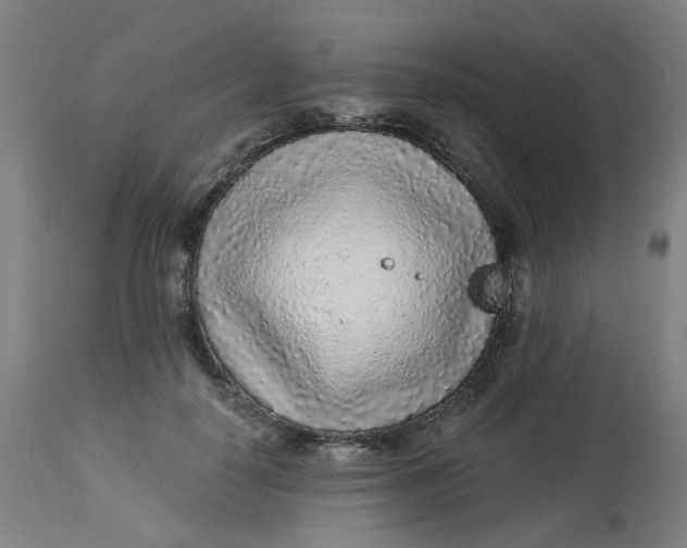 X0000113020650200909171455