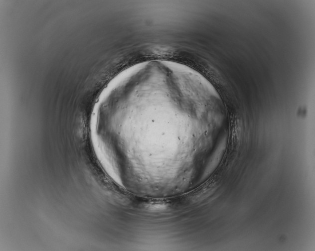 X0000113020651200909171455