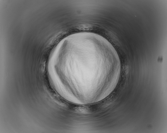 X0000113020652200909171455