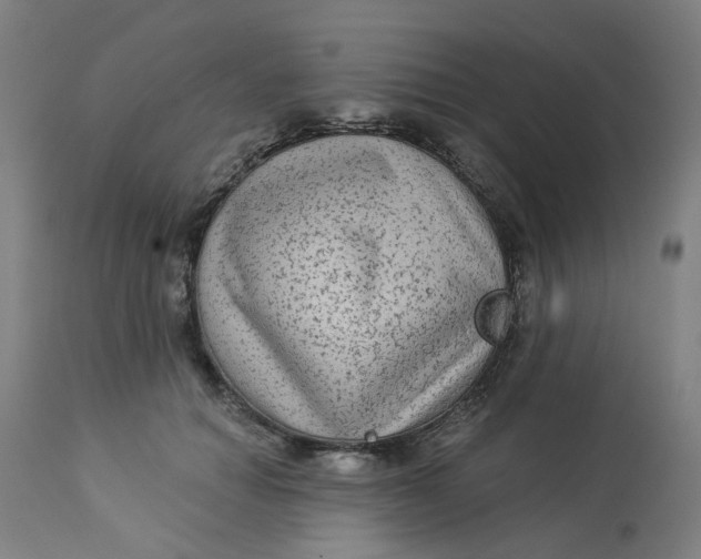 X0000113020654200909171455