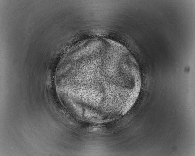 X0000113020655200909171455