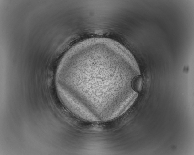 X0000113020656200909171455