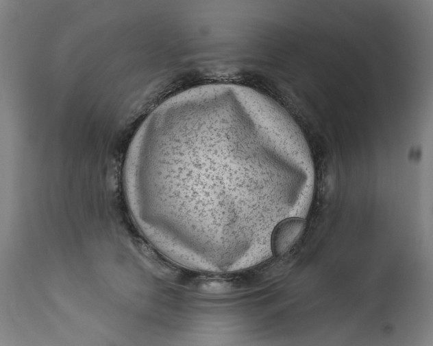 X0000113020658200909171455