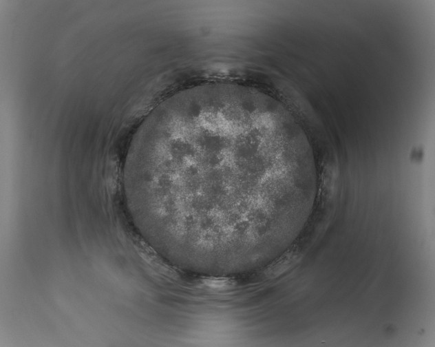 X0000113020659200909171455