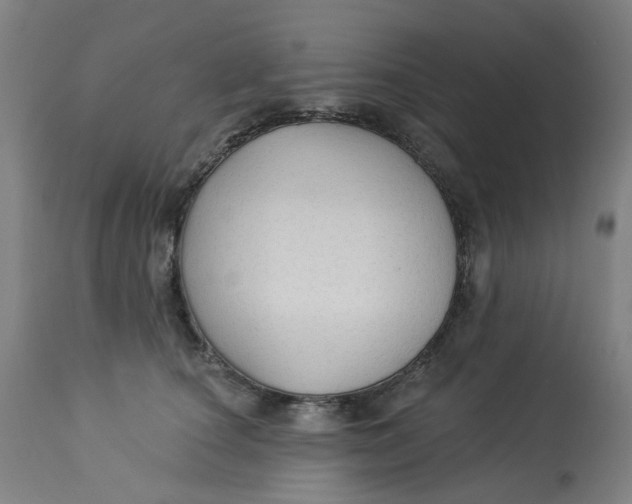 X0000113020660200909171455