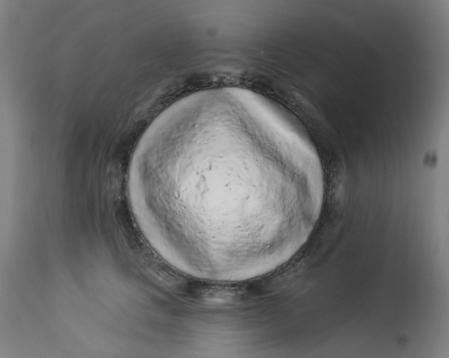 X0000113020661200909171455