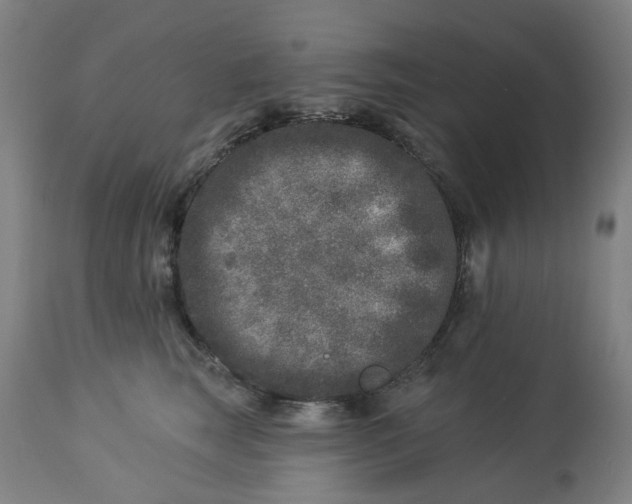 X0000113020663200909171455