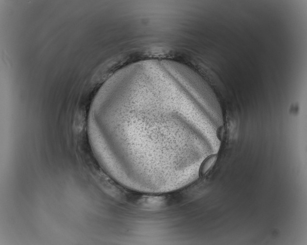 X0000113020665200909171455