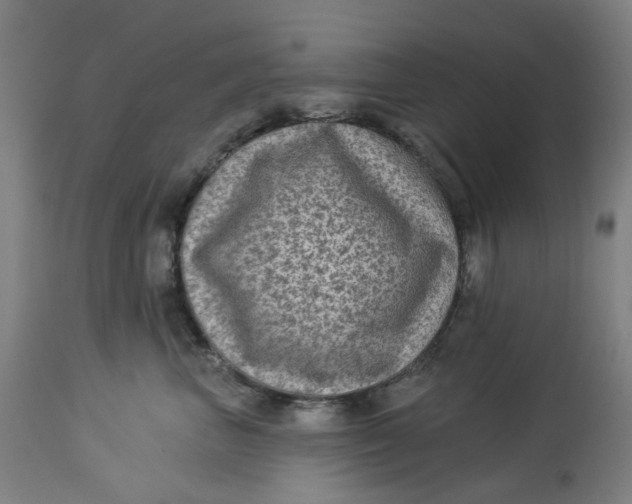 X0000113020667200909171455