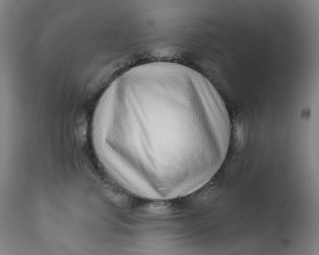 X0000113020668200909171455