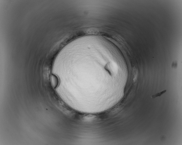 X0000113020669200909171455