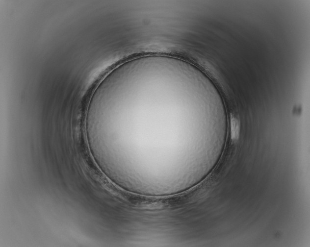 X0000113020675200909171455