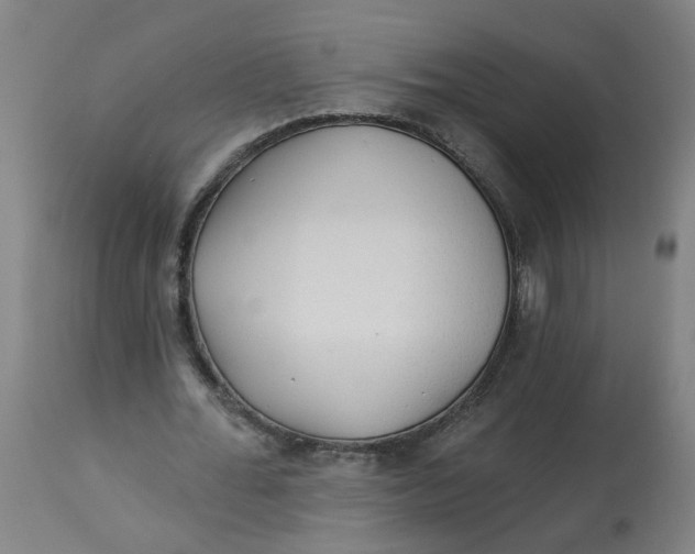 X0000113020676200909171455