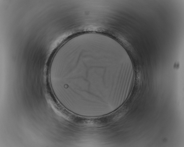 X0000113020678200909171454