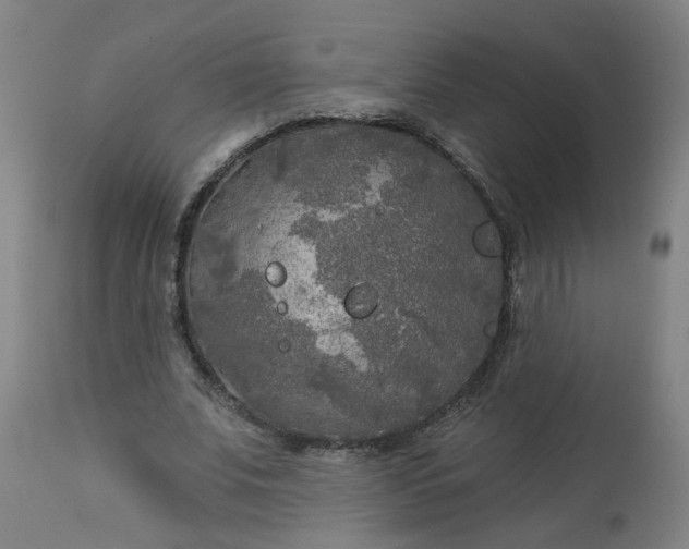 X0000113020679200909171454