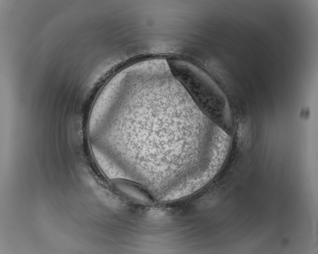 X0000113020684200909171454