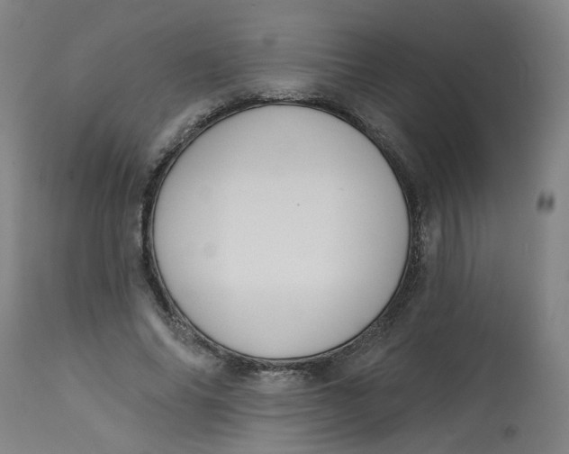 X0000113020686200909171454