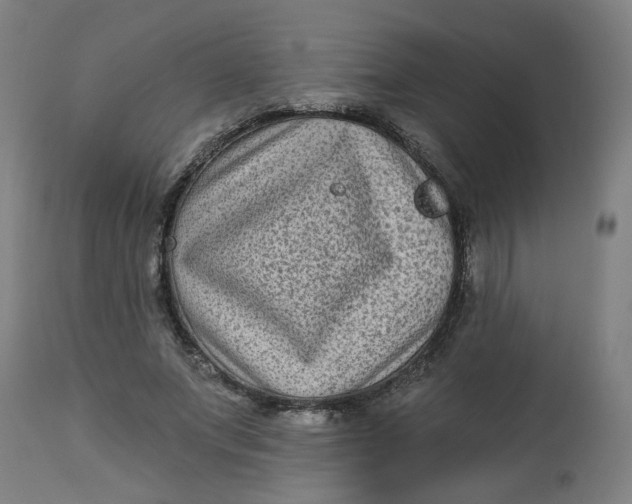 X0000113020687200909171454