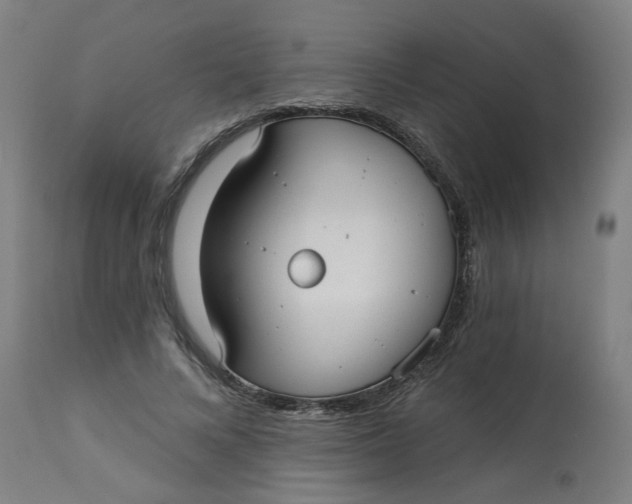 X0000113020688200909171454