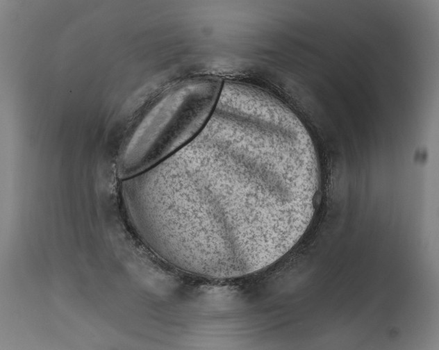 X0000113020689200909171454