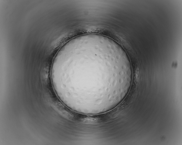 X0000113020691200909171454