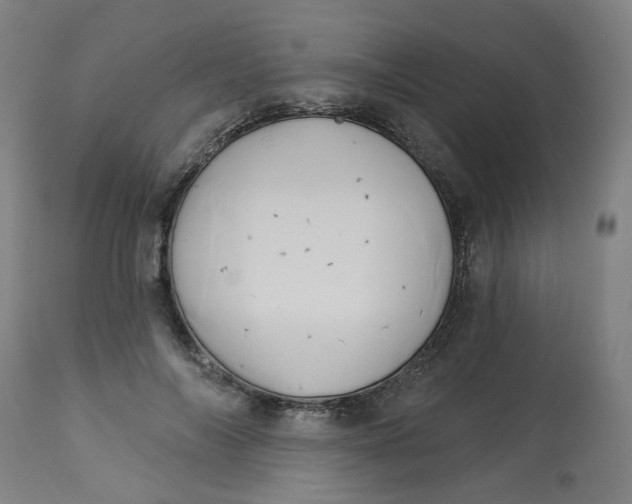 X0000113020694200909171454