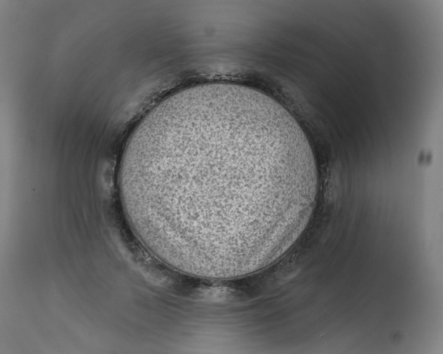 X0000113020695200909171454