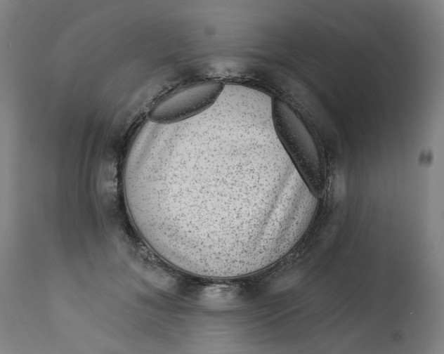 X0000113020700200909171454