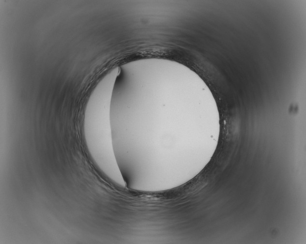 X0000113020701200909171454