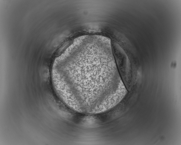 X0000113020704200909171454