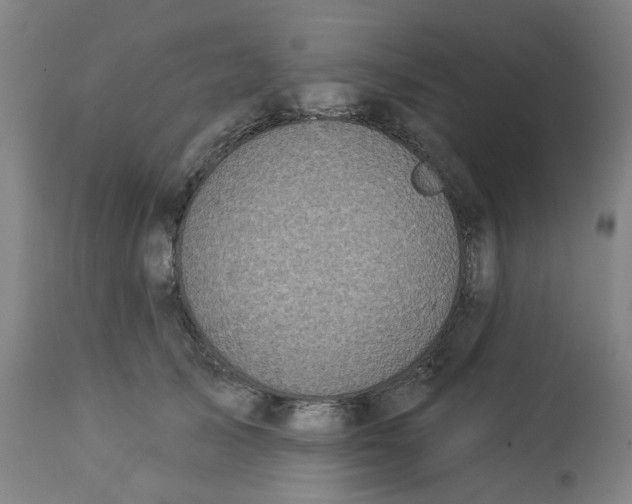 X0000113020705200909171454