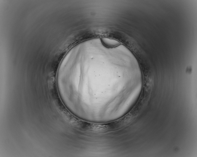 X0000113020707200909171454